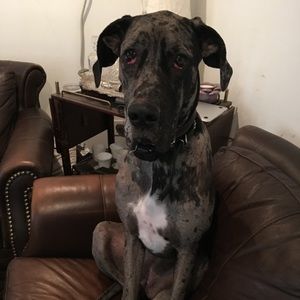 Meet your Posher, Cindi